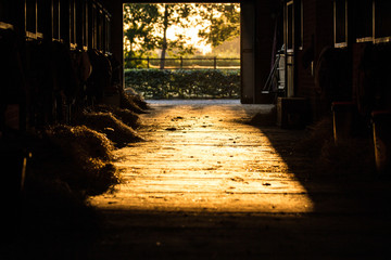 Sonnenuntergang im Stall