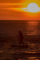 Fototapeta premium A standup paddle boarder out in the Gulf of Mexico at sunset off Blind Pass Beach, Sanibel Island, Florida.