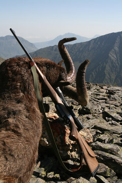 Trophy Caucasian Tur rifle for hunting in the mountains.