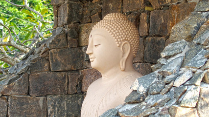 Hidden Buddha, Sri Lanka