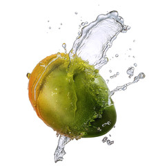 Water splash and fruits isolated on white backgroud with clipping path. Fresh mango