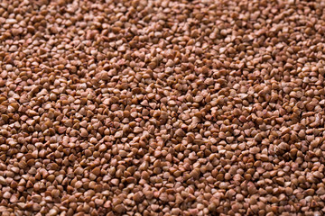 Raw buckwheat background