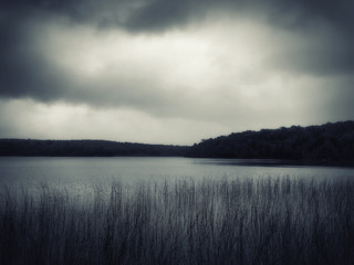 beautiful lake with fog