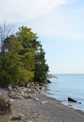 Fototapeta na wymiar Lake Erie shoreline at Point Pelee, Ontario Canada 