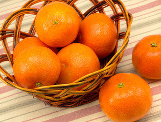 Ripe tangerines in the wicker basket on the tablecloth