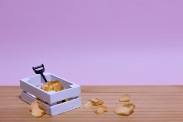 Miniature Gardening Kit with Pink Background