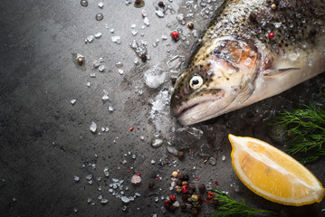 Raw brown trout on ice. Fresh fish. 