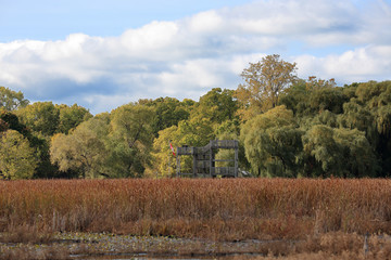 Marsh in autumn with reeds and willows