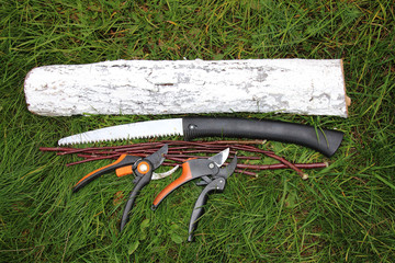 Modern secateurs, a garden hacksaw, pruned young apple branches and sawn off whitewashed apple...