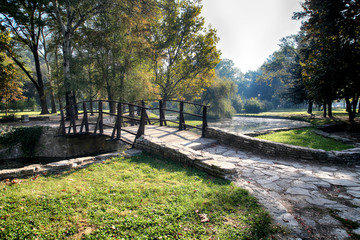 Wooden bridge in Topcider park