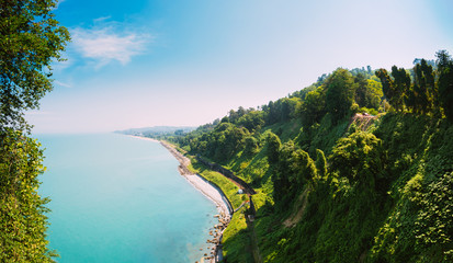 Naklejka premium Batumi, Adjara Georgia. Beautiful Summer View From Botanical Gar