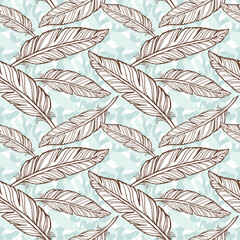 Seamless feathers pattern. Hand drawn background.