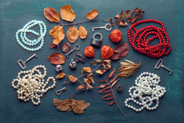 Сухие листья и барбарис