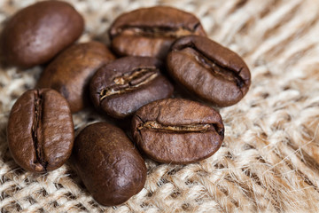 Grains of coffee plant on sackcloth, burlap texture. 