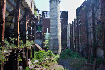 Abandoned, destroyed by war and overgrown machinery of Tkvarcheli power plant 