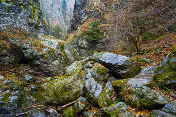 Canyon landscape