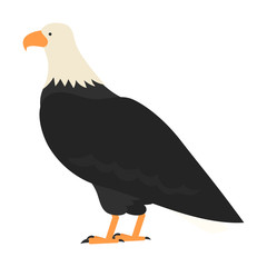 flat bird isolated on white background, beautiful vector illustration