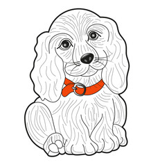 Vector illustration of a beautiful cocker dog for coloring book,cane cocker in bianco e nero vettoriale da colorare