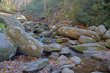 Small stream with fallen leaves in the Smokies.