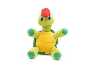 Turtle toy isolated on white background