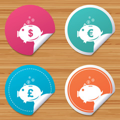 Round stickers or website banners. Piggy bank icons. Dollar, Euro and Pound moneybox signs. Cash coin money symbols. Circle badges with bended corner. Vector