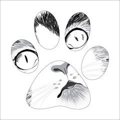 silhouette animal trail.