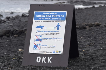 don't disturb sea turtles sign at Punaluu Black Sand Beach, Big Island, Hawaii