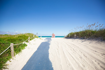 South Beach, Miami Beach. Florida. Aerial view. Paradise. South Pointe Park and Pier