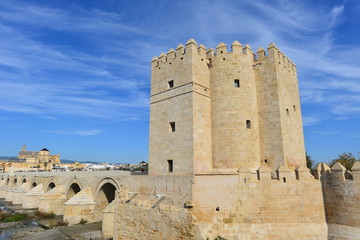 Puente Viejo Cordoba