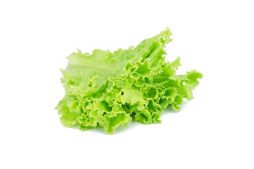 Salad leaf. Lettuce isolated on white background.