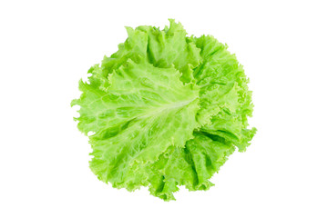 Salad leaf. Lettuce isolated on white background.