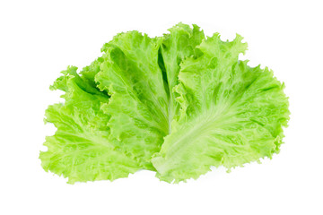 Salad leaf. Lettuce isolated on white background.
