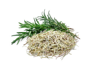 Rosemary fresh and dried on white background