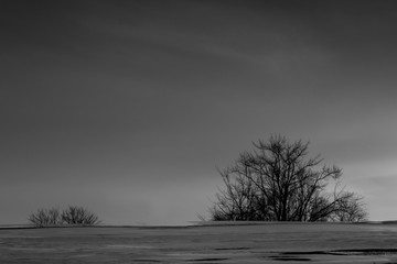 winter reflections