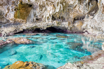 Limestone and coral cave pool, Avaiki, Niue, Polynesia