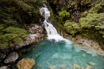 Waterfall in rainforest, Milford Sound, New Zealand