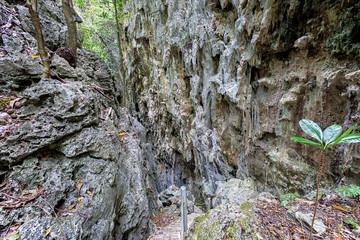 Anapala Chasm Walkway, Niue, South Pacific
