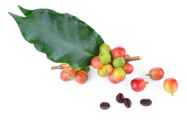 fresh coffee beans isolated on white background