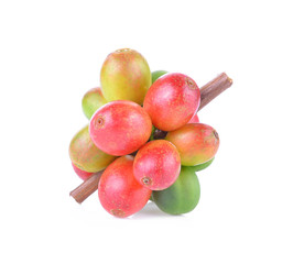 fresh coffee beans isolated on white background