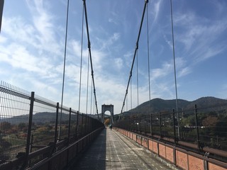 Fototapeta premium 吊り橋