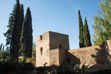 Fototapeta na wymiar vue du chateau d' Alhambra en Espagne