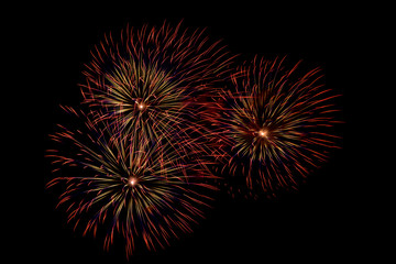 Fireworks light up the sky