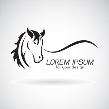 Vector of a horse head design on white background, Animals.