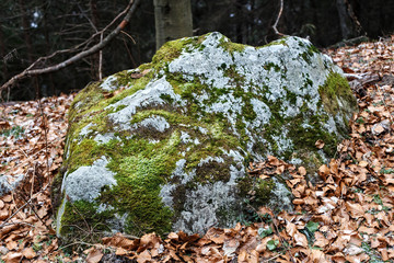 Ancient old stone covered with moss in the High Tatras mountains