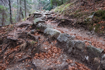 The narrow pathway in the High Tatras mountains.
