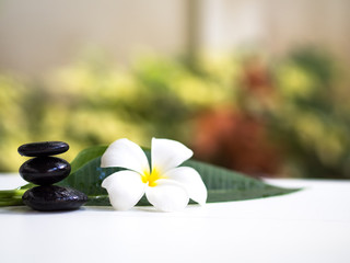 Fototapeta na wymiar Frangipani plumeria Spa Flower with massage stones on white background