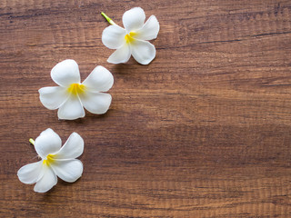 Obraz na płótnie Canvas Frangipani plumeria Spa Flower on the wooden