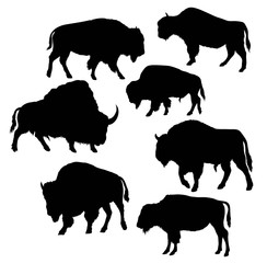 Bison Wild Bull Silhouettes, art vector design