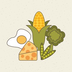 healthy food icons. colorful design. vector illustration