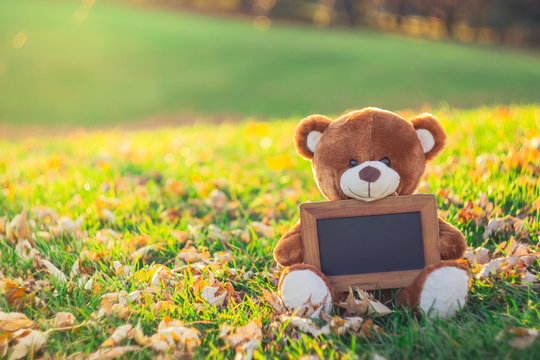 teddy bear with black board sitting on grass field in autumn sea